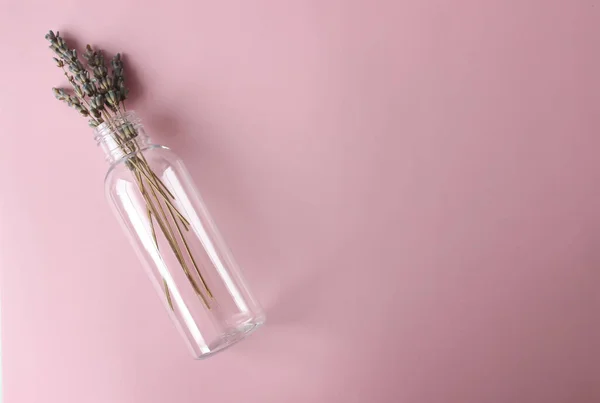 Kozmetik plastik, içi lavanta kaplı, içi boş bir şişe..