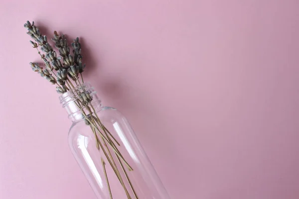 Cosmetische Plastic lege fles met lavendel binnenkant op een roze achtergrond. — Stockfoto