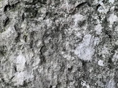 Gri Taş Yüzey Arkaplanı. Eski taş. Çatlaklı ve soyulmuş eski kirli bir duvar..