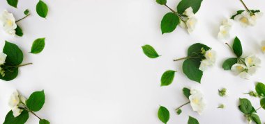 Yasemin çiçeğinden yapılmış çiçek çerçevesi beyaz arka planda izole edilmiş çiçek çerçevesi.