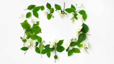 Yasemin çiçeğinden yapılmış çiçek çerçevesi beyaz arka planda izole edilmiş çiçek çerçevesi.