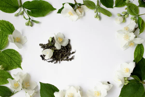 Té verde con flores de jazmín sobre fondo blanco aislado, primer plano, vista superior —  Fotos de Stock