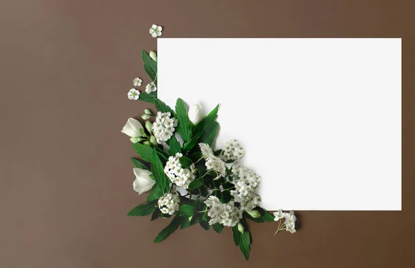 Bloemen frame gemaakt van lente witte bloemen op bruine achtergrond. Bloemen plat lag. Ruimte voor tekst. Briefkaart — Stockfoto