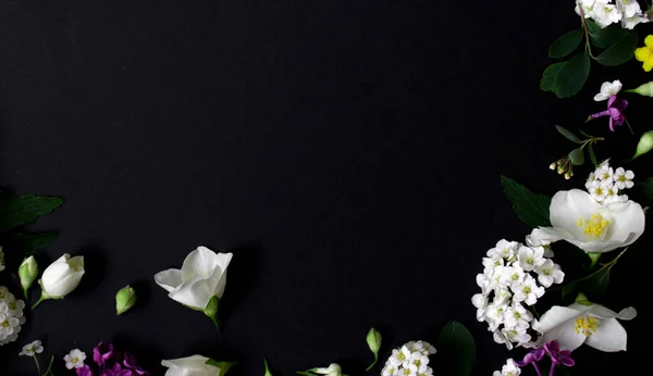 Květinový rám z různých jarních květin na černém pozadí. Květiny byly ploché. Mezera pro text — Stock fotografie
