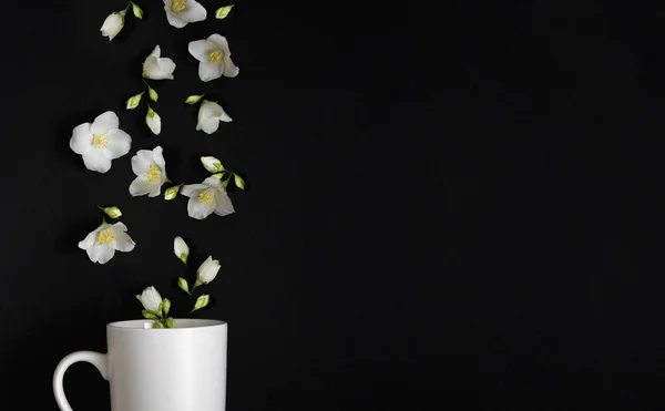 Jasmín květiny létat do bílého šálku na černém pozadí. Jasmínový čaj v šálku — Stock fotografie
