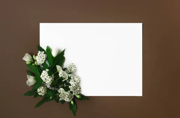 Kahverengi arka planda bahar beyaz çiçeklerinden yapılmış çiçek deseni. Çiçekler düzdü. Mesaj için yer var. Kartpostal