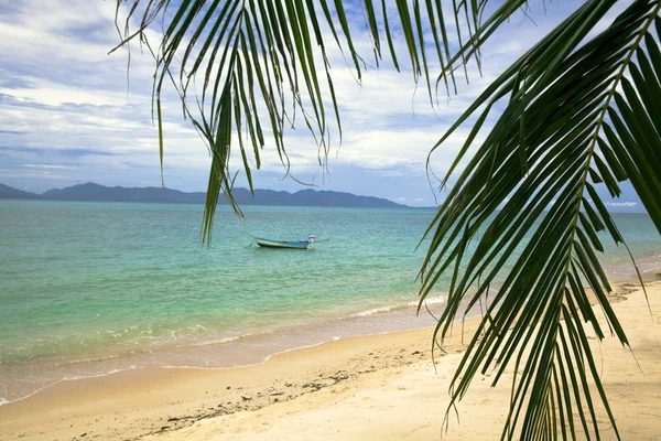 Pantai musim panas - pohon palem, gunung di pulau terpencil, pasir putih , — Stok Foto