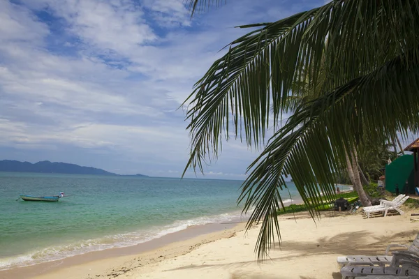 Letní pláž-palmový strom, hora na vzdáleném ostrově, bílý písek, — Stock fotografie