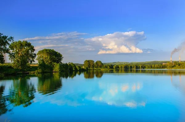 Lac et arbre — Photo