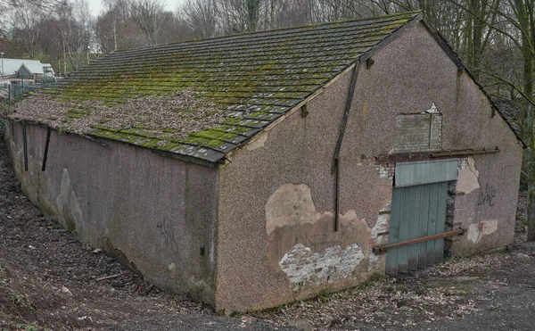 Ormandaki deponun kesinlikle biraz TLC 'ye ihtiyacı var.                            