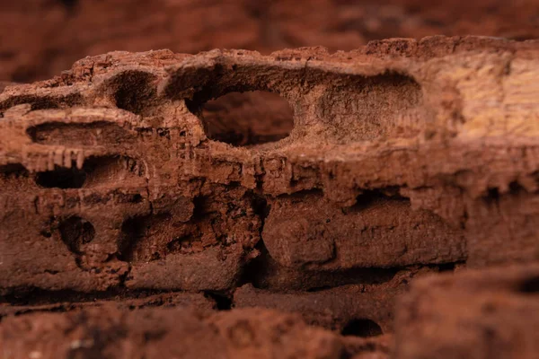 Altes Holz Mit Ungewöhnlichen Mustern Rissen Vertiefungen Und Löchern — Stockfoto