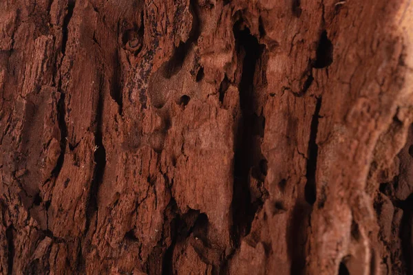 Unebenes Holz Mit Rissen Und Vertiefungen — Stockfoto