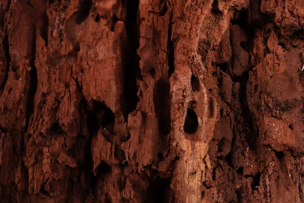 Senkrechte Löcher Und Risse Schäbigen Holz — Stockfoto