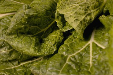 Birkaç yeşil geniş lahana yaprağı.