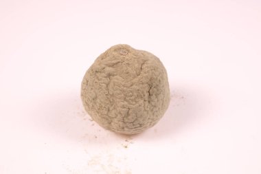 Beyaz bir yüzeyde tamamen küflü bir mandalina.