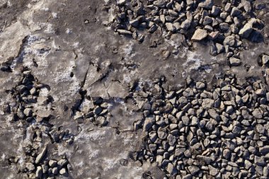 Gri küçük taşlar sert yatar, ama birkaç boş yer vardır ki...