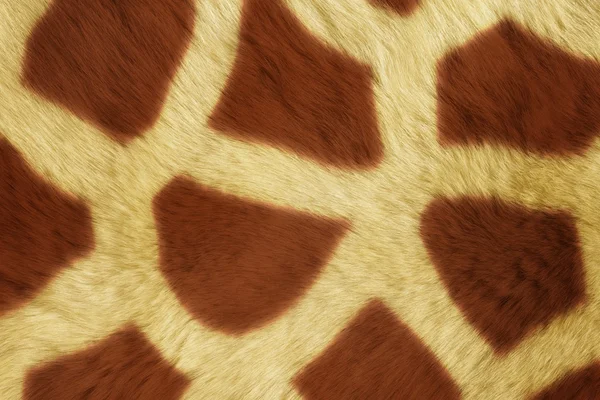 Textures d'animaux à fourrure, Girafe — Photo