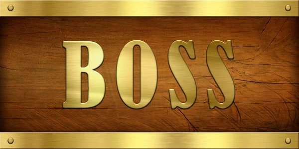 Vintage Door Plate, Boss — Stock Photo, Image