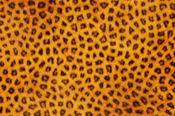 Futra zwierząt tekstury, Leopard — Zdjęcie stockowe