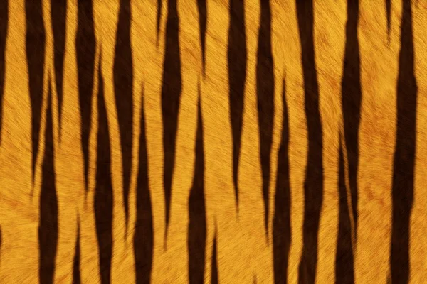 Меховые анимированные текстуры, тигр — стоковое фото