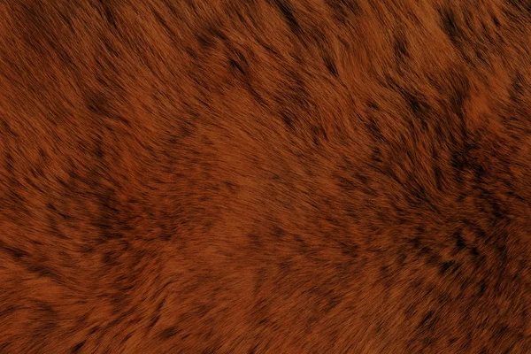 Textures d'animaux à fourrure, ours brun — Photo