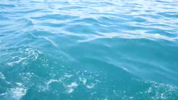 Suivant le bateau bateaux à vapeur sur l'eau 