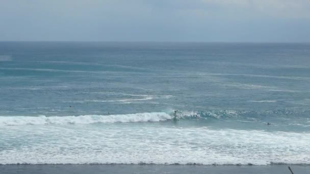 Surfer får på styrelsen och rullande på havet — Stockvideo