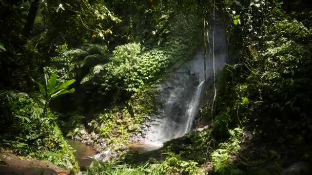 Cascada en medio de las rocas — Vídeos de Stock