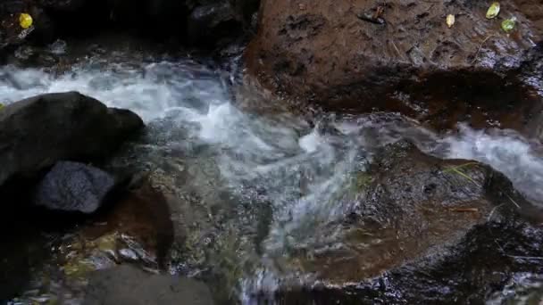 Ρεύμα του ποταμού στα βράχια — Αρχείο Βίντεο