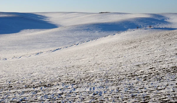 Pagórkowaty zima pole — Zdjęcie stockowe