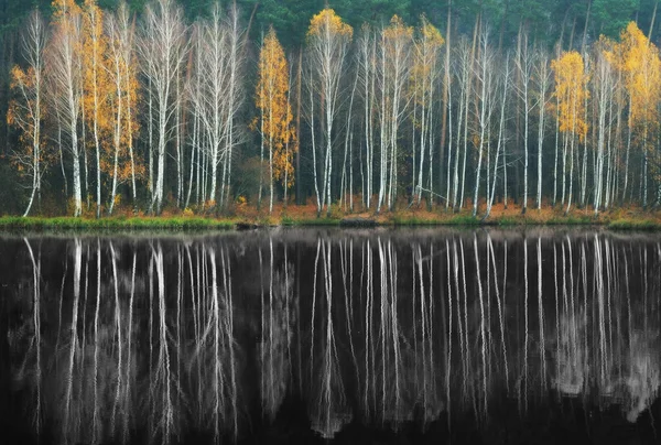 Réflexion dans la rivière — Photo