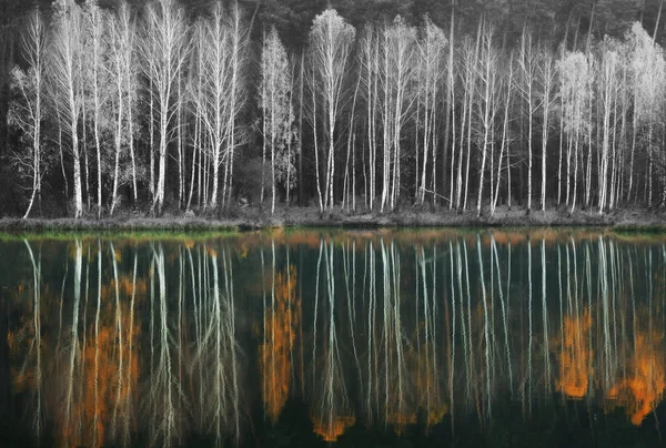 Spiegelung im Fluss — Stockfoto