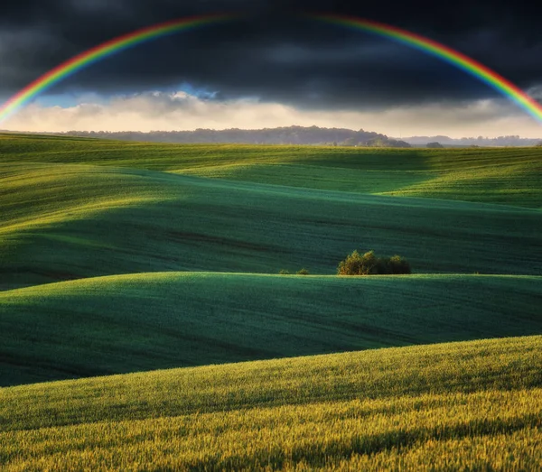 Vista Panorámica Del Arco Iris Sobre Campo Verde — Foto de Stock