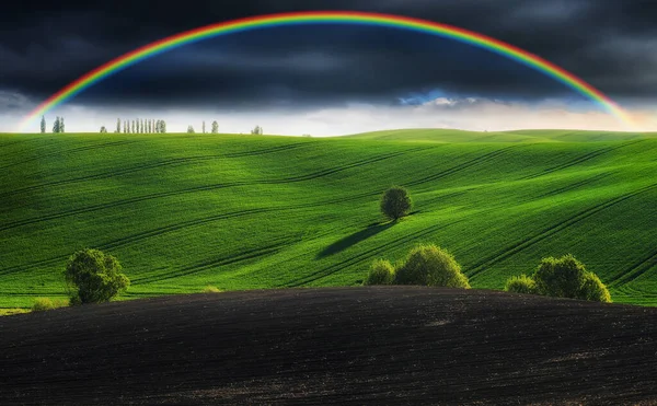 Vista Panorâmica Arco Íris Sobre Campo Verde — Fotografia de Stock