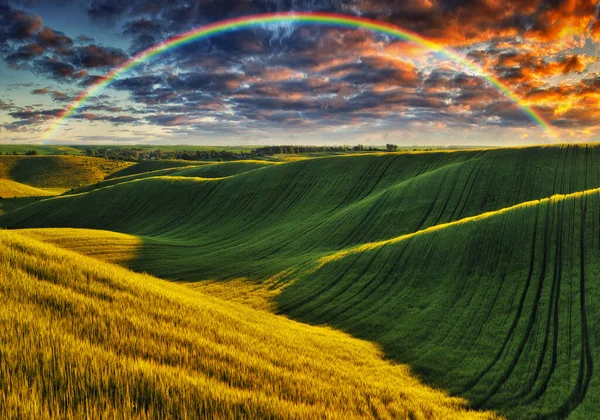 Vista Panorâmica Arco Íris Sobre Campo Verde — Fotografia de Stock