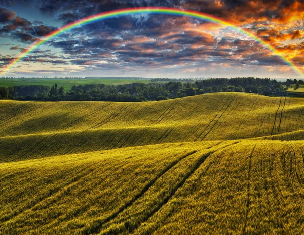 緑の野を見下ろす虹の風景 — ストック写真