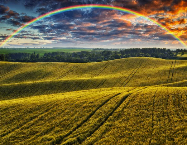 Vista Panorâmica Arco Íris Sobre Campo Verde — Fotografia de Stock