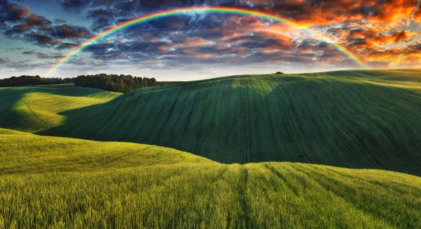 Yeşil alanda gökkuşağının manzarası