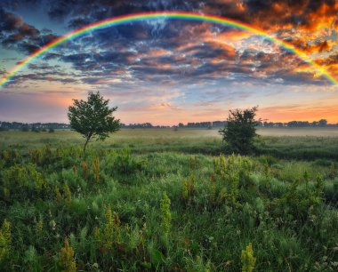 İlkbaharda bir çayırda gökkuşağı