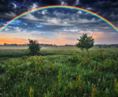 İlkbaharda bir çayırda gökkuşağı