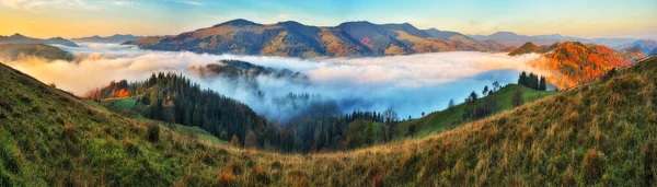 Majestätische Herbstliche Ländliche Landschaft Landschaft Mit Bergen Mit Morgennebel — Stockfoto