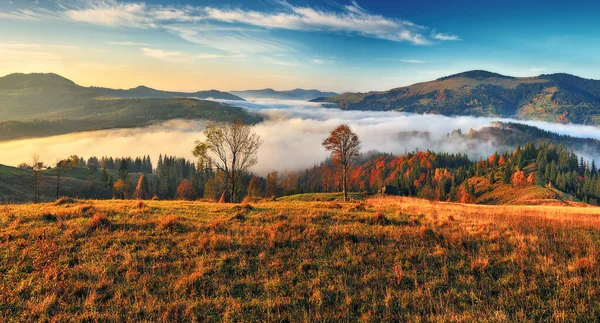 Görkemli Sonbahar Kırsal Manzarası Sabah Sisli Dağlarla Kaplı Manzara — Stok fotoğraf