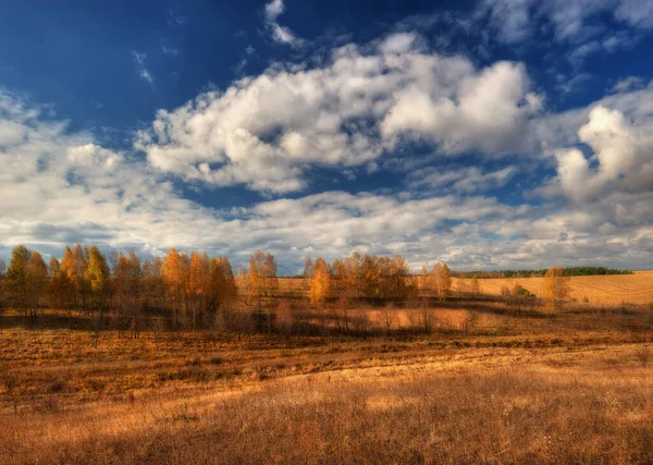 Autumn Landscape Nature October Clear Morning — Stock Photo, Image