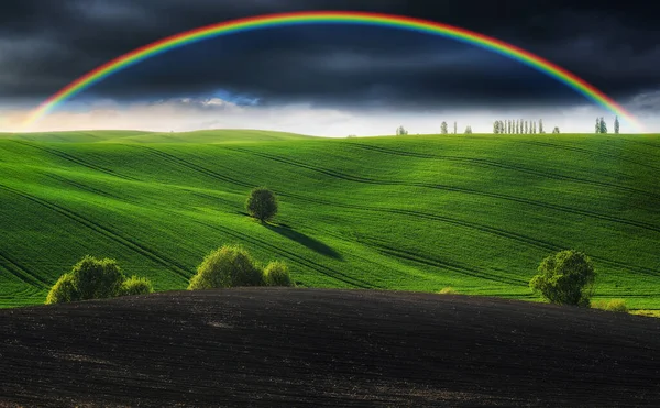 Szenische Ansicht Des Regenbogens Über Dem Grünen Feld — Stockfoto