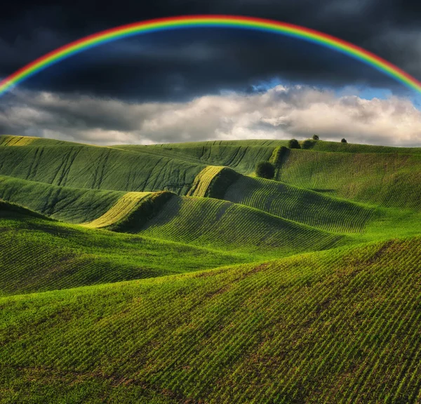 Szenische Ansicht Des Regenbogens Über Dem Grünen Feld — Stockfoto