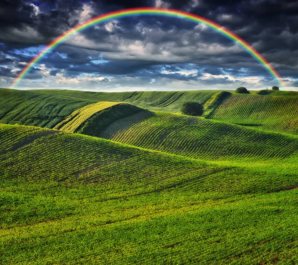 Scenic View Rainbow Green Field — Stock Photo, Image