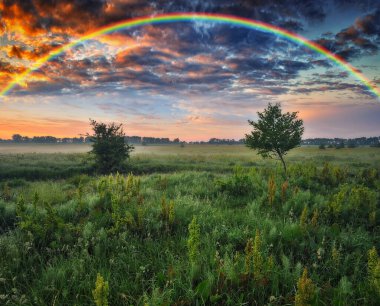 İlkbaharda bir çayırda gökkuşağı. Renkli bir sabah