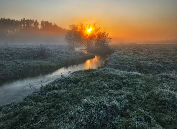 Schöner Frühlingssonnenaufgang Über Dem Flussufer Morgennebel — Stockfoto