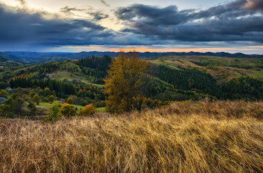 Görkemli sonbahar kırsal manzarası. Sabah sisli dağlarla kaplı manzara