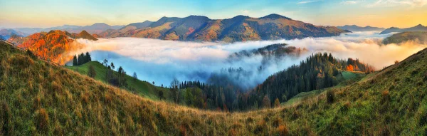 Majestätische Herbstliche Ländliche Landschaft Landschaft Mit Bergen Mit Morgennebel — Stockfoto